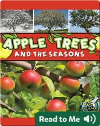 Apple Trees and the Seasons