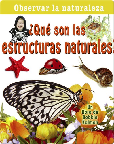 ¿Qué son las estructuras naturales?