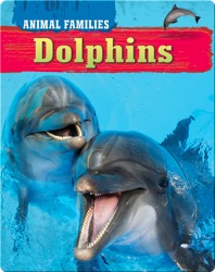 Dolphins