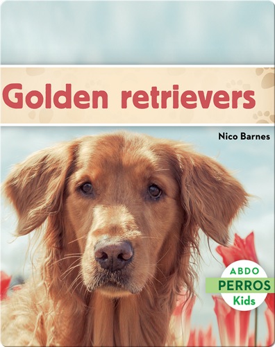 Golden retrievers