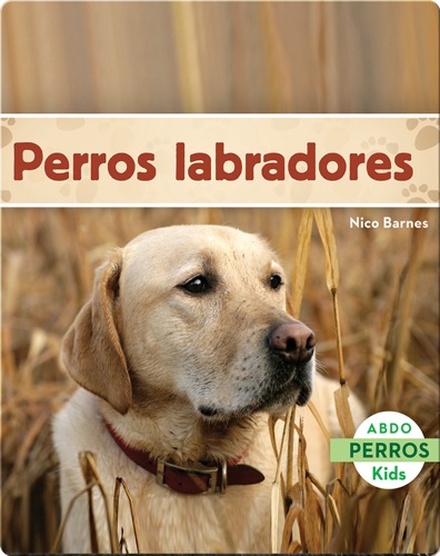 Perros labradores