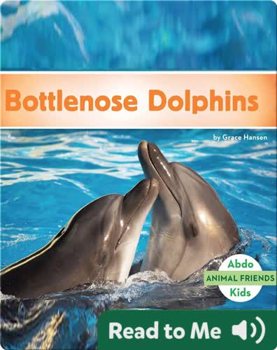 Bottlenose Dolphins