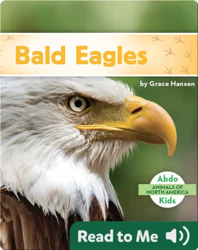 Bald Eagles