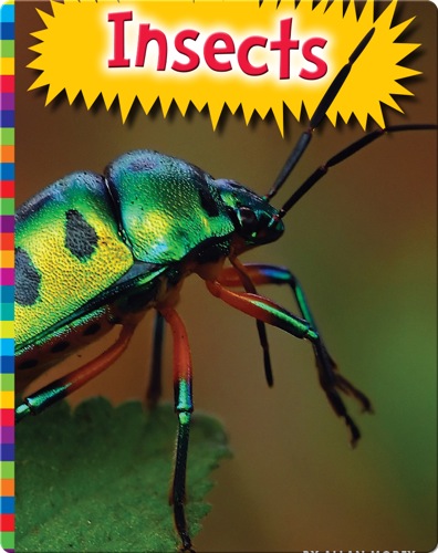 Insects