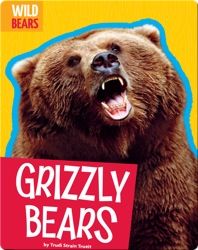 Grizzly Bears