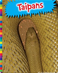Taipans