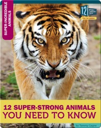 12 Super-Strong Animals You Need To Know