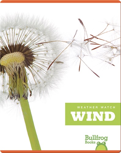 Weather Watch: Wind