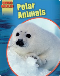 Polar Animals