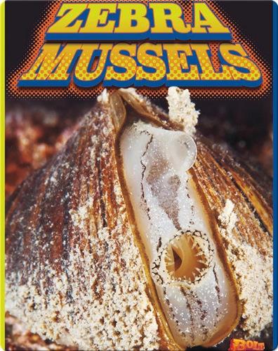 Zebra Mussels