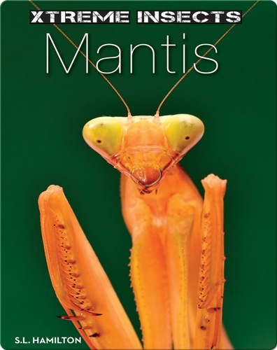 Mantis