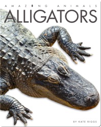 Alligators