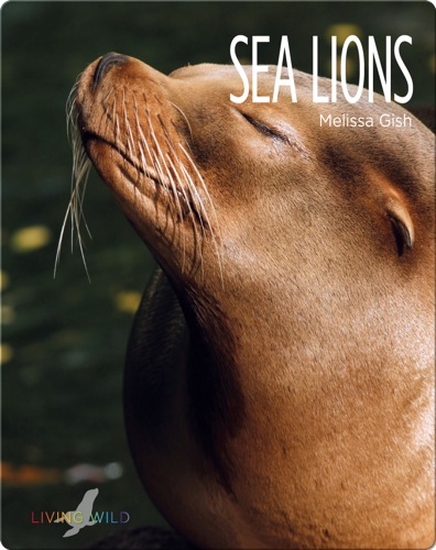 Sea Lions