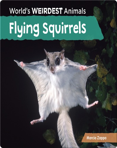 Flying Squirrels