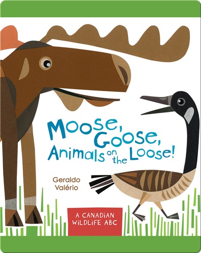 Moose, Goose, Animals on the Loose!
