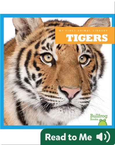 My First Animal Library: Tiger