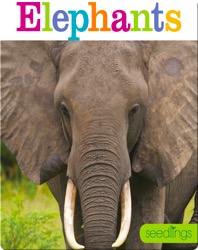 Elephants