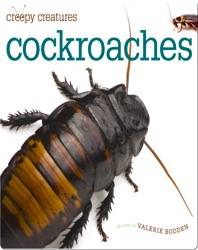 Cockroaches