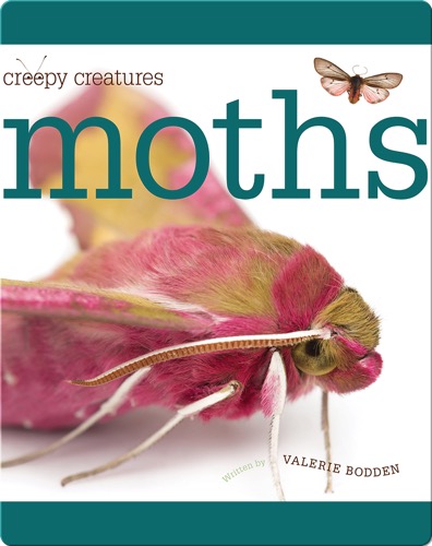 Moths