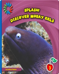 Discover Moray Eels