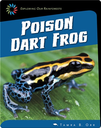 Poison Dart Frog