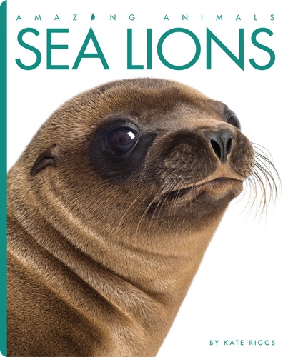 Sea Lions