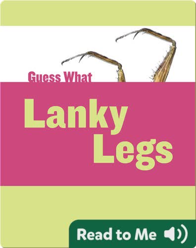 Lanky Legs