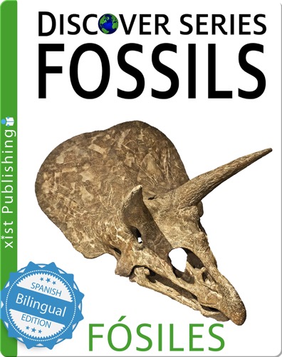 Fossils / Fósiles