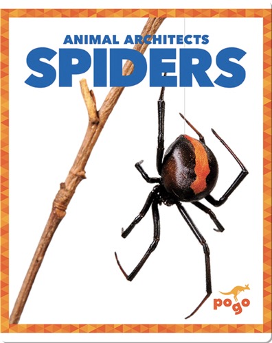 Spiders