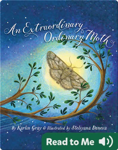An Extraordinary Ordinary Moth