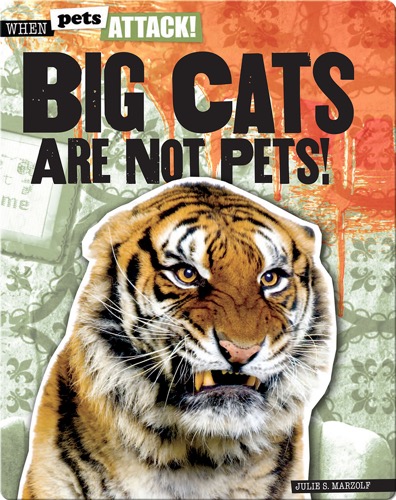 Big Cats Are Not Pets!