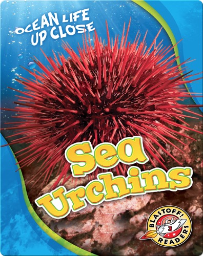 Sea Urchins
