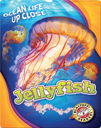 Jellyfish
