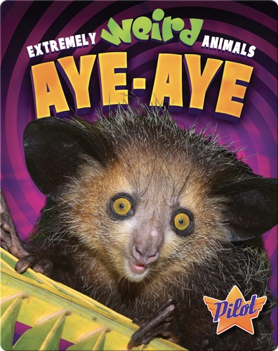 Aye-Aye