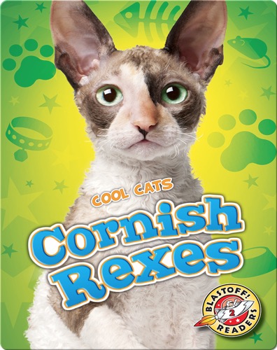 Cornish Rexes