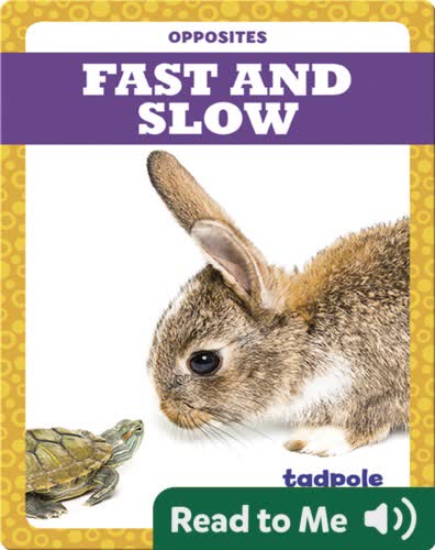 Fast and Slow