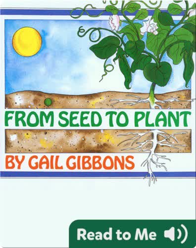 From Seed to Plant