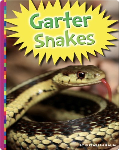 Garter Snakes
