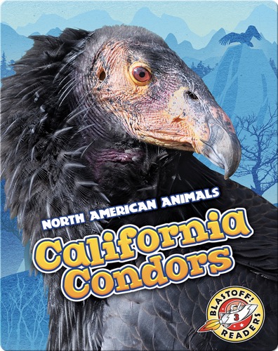 California Condors