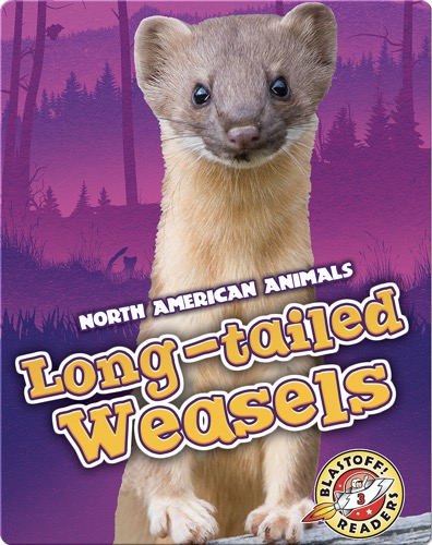 Long-tailed Weasels