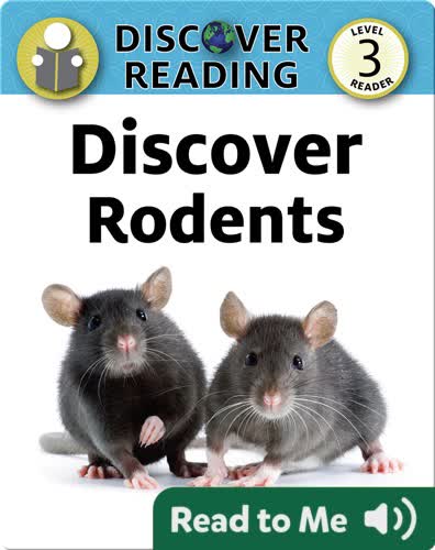 Discover Rodents