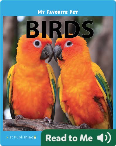 My Favorite Pet: Birds