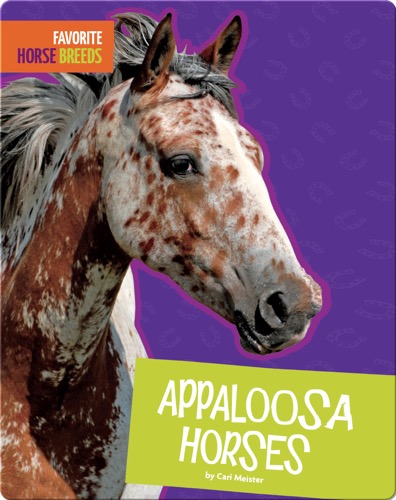 Appaloosa Horses