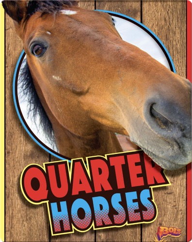 Quarter Horses