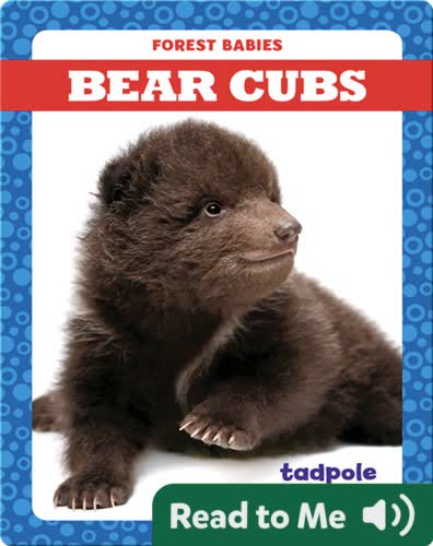 Bear Cubs