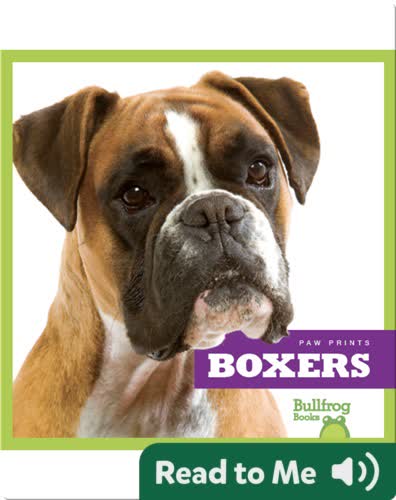 Boxers