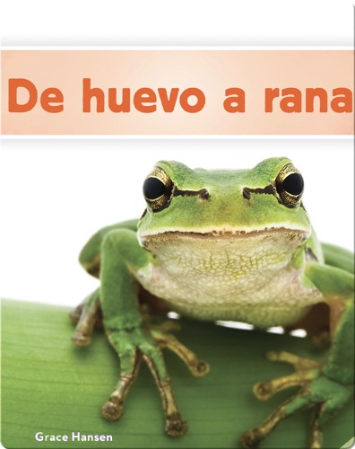 De huevo a rana