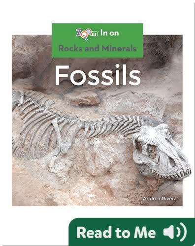 Fossils