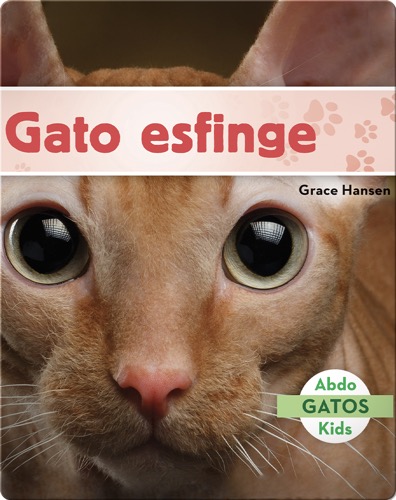 Gato esfinge