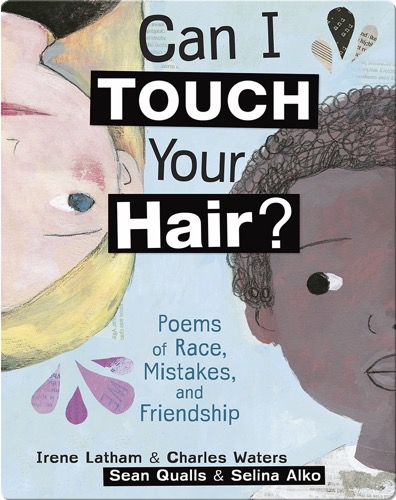 Can I Touch Your Hair?: Poems of Race, Mistakes, and Friendship